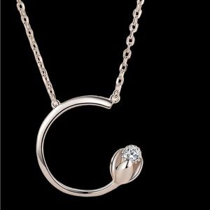 Sterling Silver Rose Necklace